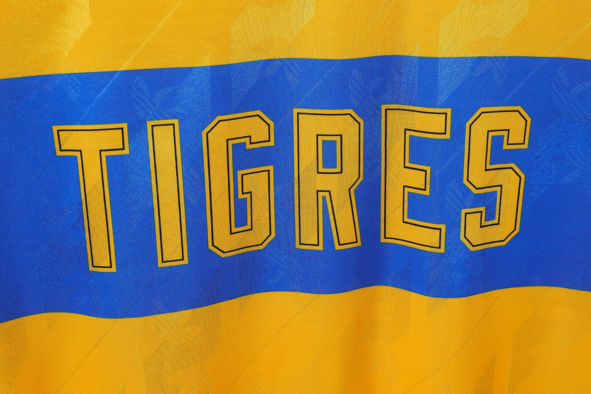 (Copia) Tigres UANL (2002)