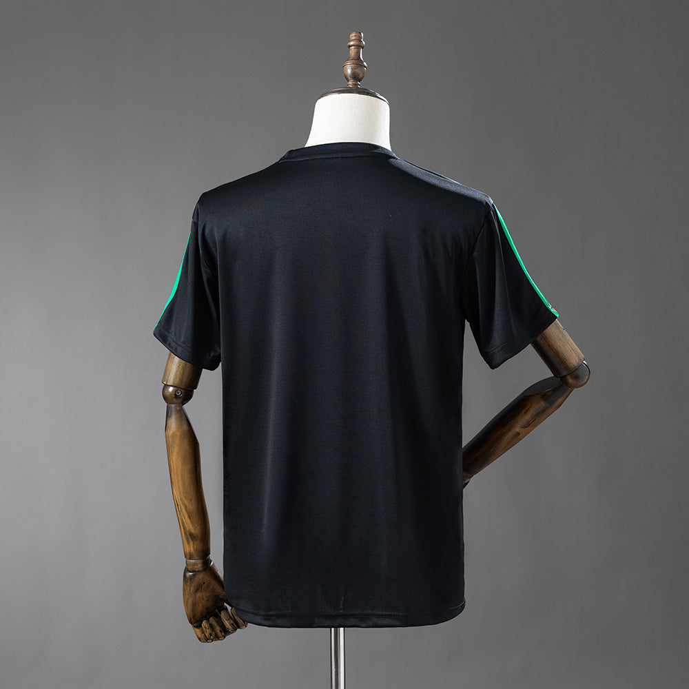 Jamaica Visita (2026)