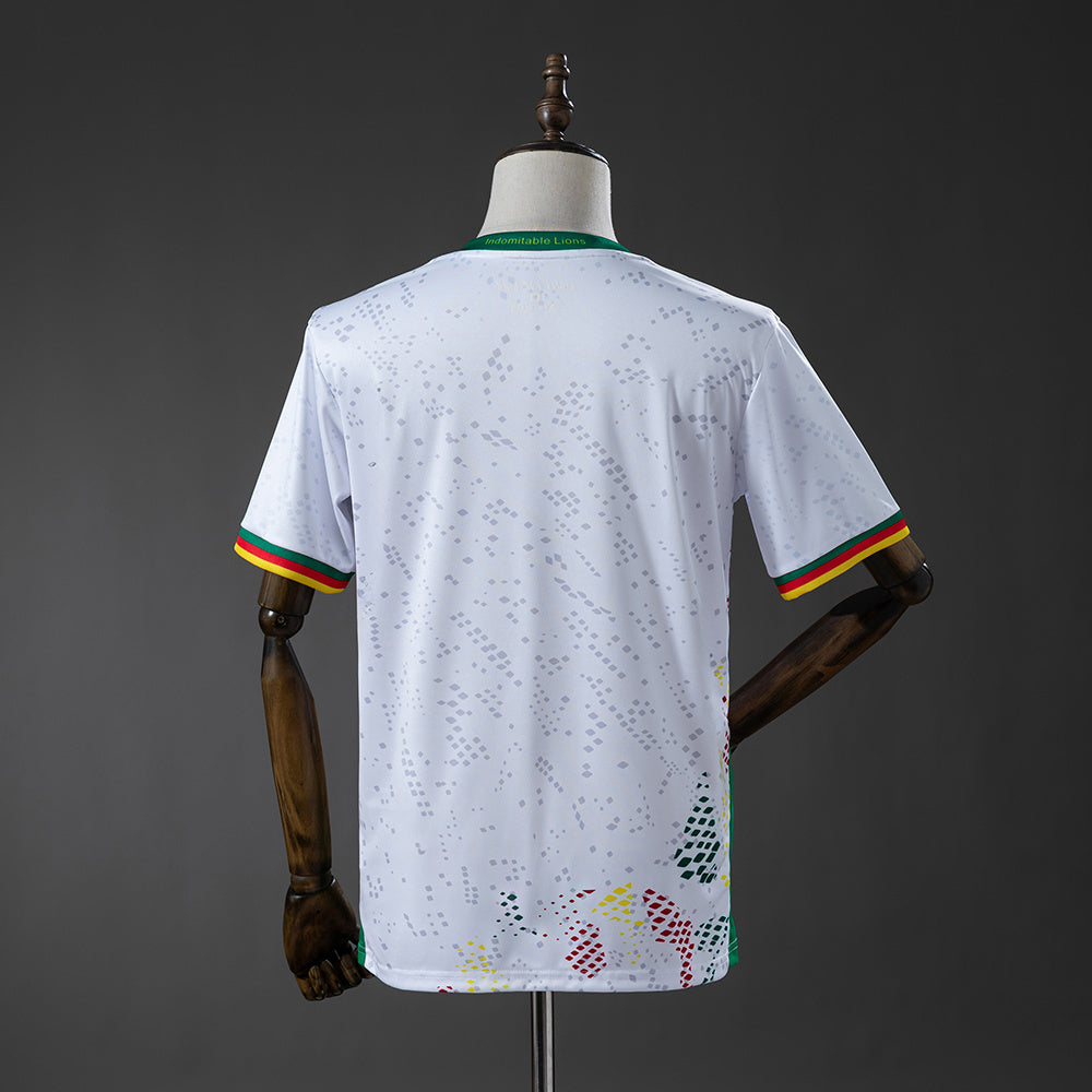 Camerún Visita (2026)